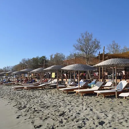 Golden & Tinos