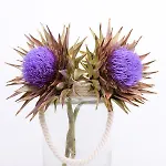 Hotell Golden & Tínos