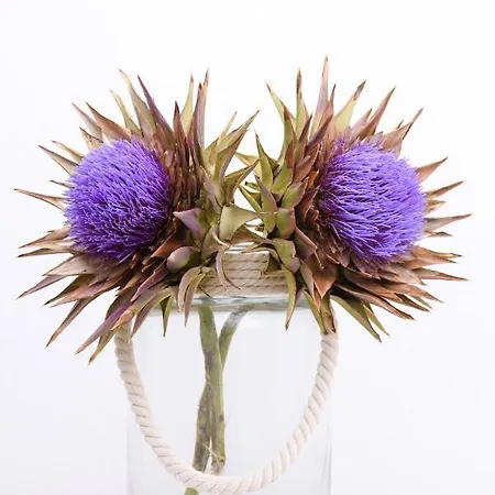 Hotel Golden & Tínos