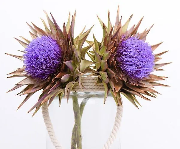 Hotell Golden & Tínos